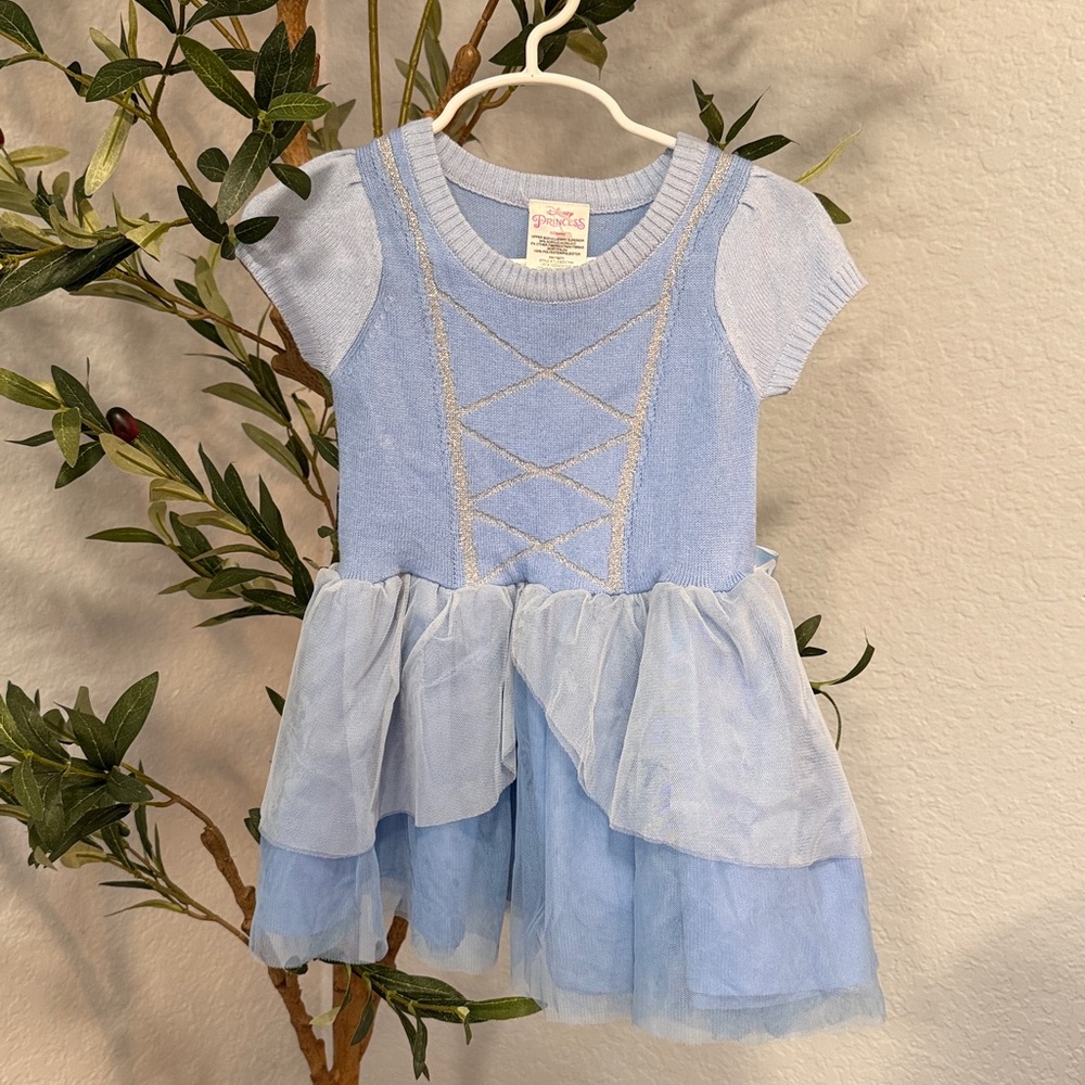 Disney Blue and Silver Princess Dress